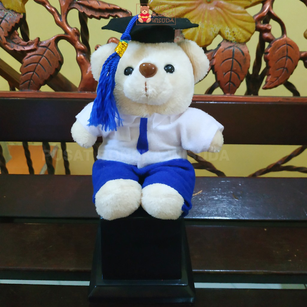 Piala Boneka Wisuda Untuk Anak Sekolah Sd SMP Sma Pilbon Murah Lucu Kecil Mini Perpisahan Graduation