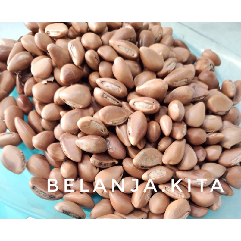 biji kecik dakon 300bj / biji dakon/ biji kecik congklak / biji congklak