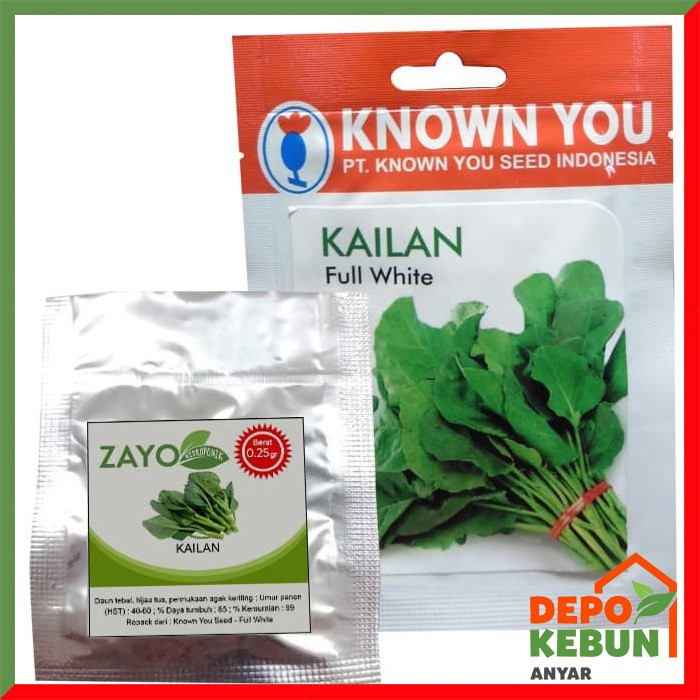 BENIH KAILAN / BIBIT KAILAN