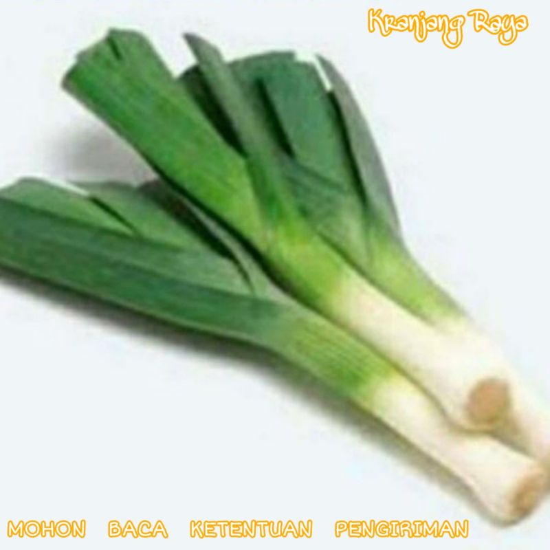 Leek Batang 1/2 kg