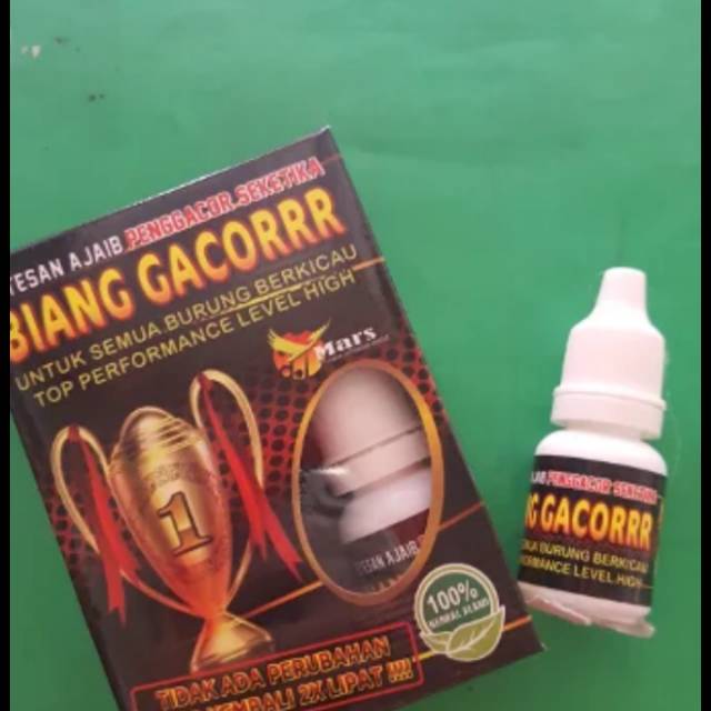 Biang gacor doping burung kicau