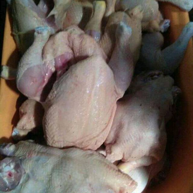 

Ayam uk 0,8-1,5