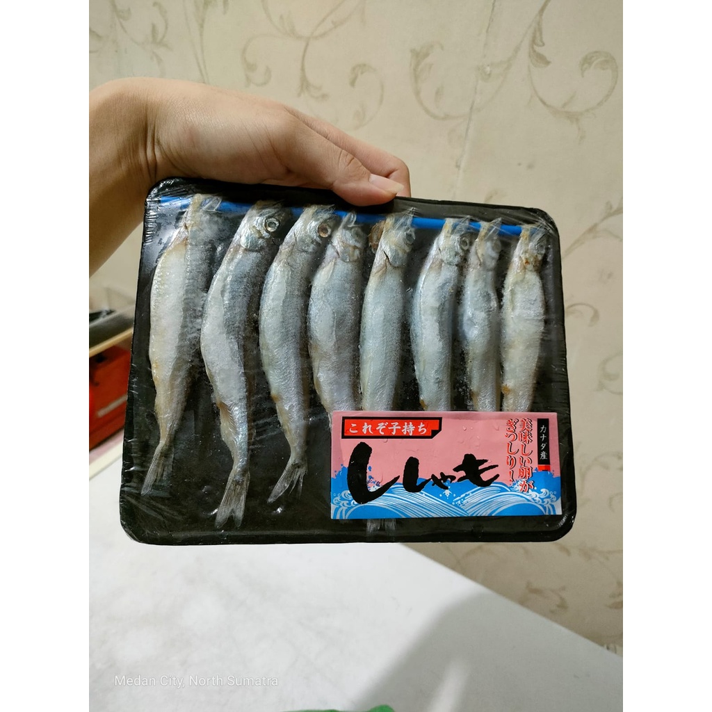 

Ikan Shisamo Import/ Ikan Chapelin Import/ Ikan telur Frozen