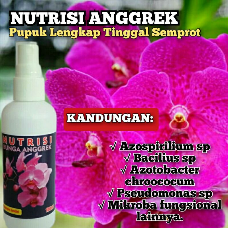 Pupuk Bunga Anggrek Fungisida dan Hormon Anggrek Penumbuh dan Penyubur Bunga Anggrek