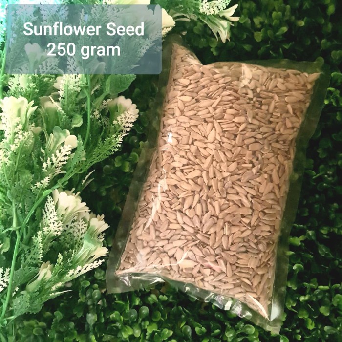 

ds201fs Biji Bunga Matahari Mentah / Raw Sunflower Seed - 250 Gram Dscscv