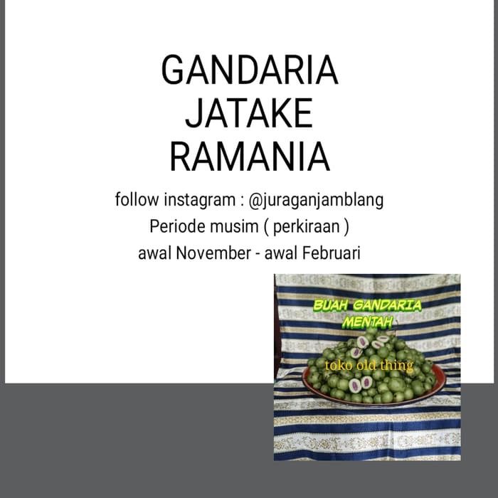 

Produk Terbaru - Buah Gandaria Jatake Muda Mentah 2 Kg