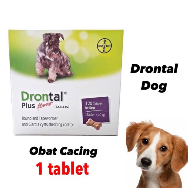 DRONTAL DOG 1 TABLET OBAT CACING ANJING OBAT ANJING DRONTAL ANJING DRONTAL PLUS CACING ANJING DRONTAL ORIGINAL DRONTAL HEWAN DRONTAL 1 BOX DRONTAL 1 PAPAN DRONTAL TASTY DRONTAL DOG TASTY DRONTAL PUPPY OBAT CACING ANAK ANJING OBAT CACING ANJING MURAH