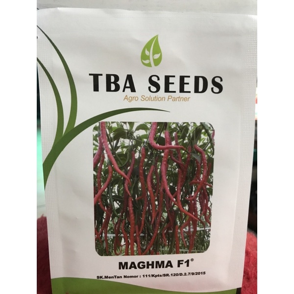 BENIH CABAI MAGHMA F1