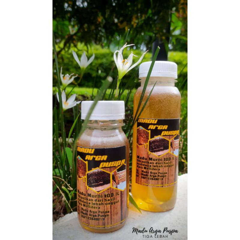 

Madu Asli