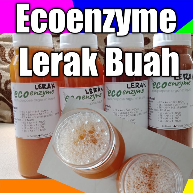 Eco Enzyme Lerak Buah Segar khusus pencuci pakaian dan piring gelas