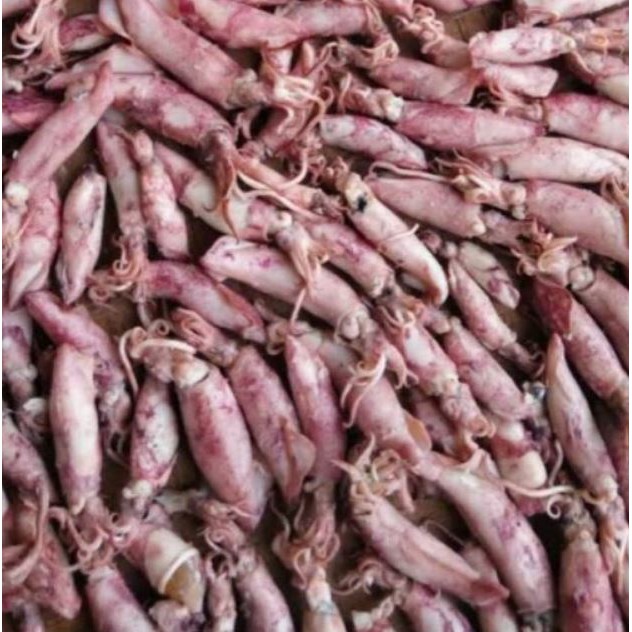 

Cumi asin 100gr