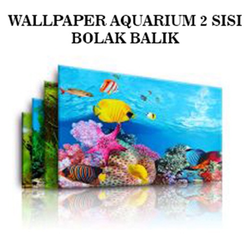 Wallpaper aquarium gambar background aquascape tinggi 40cm panjang 50 cm