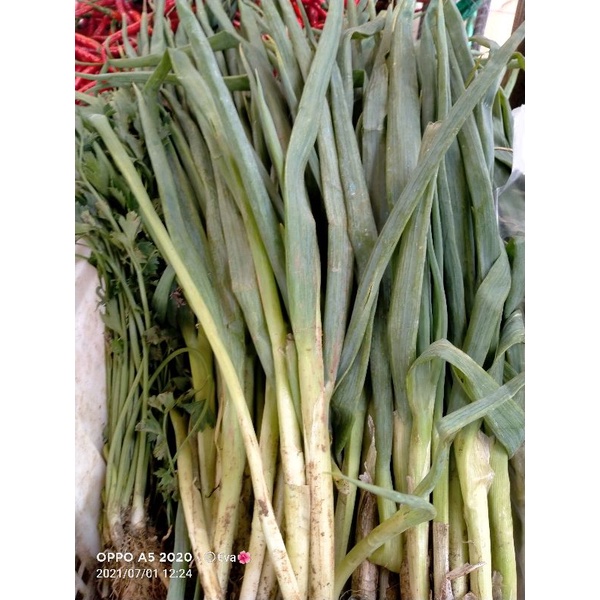

daun bawang