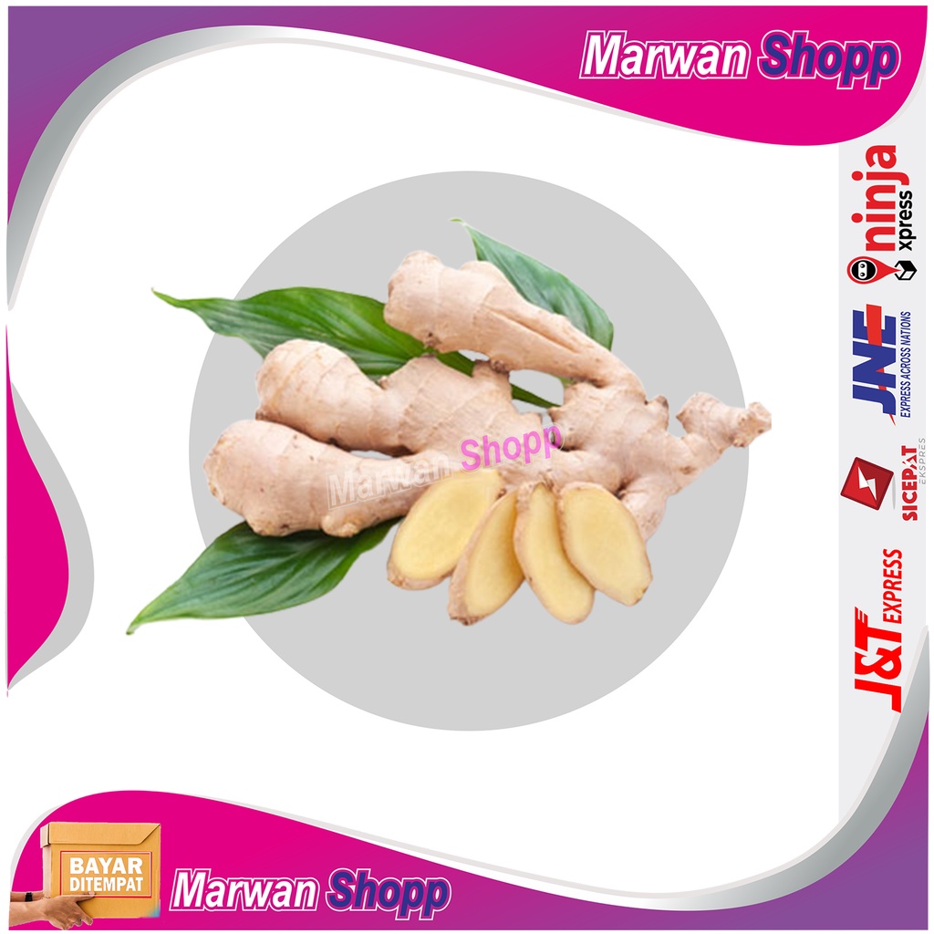

JAHE EMPRIT 500 GRAM FRESH MARWAN SHOPP