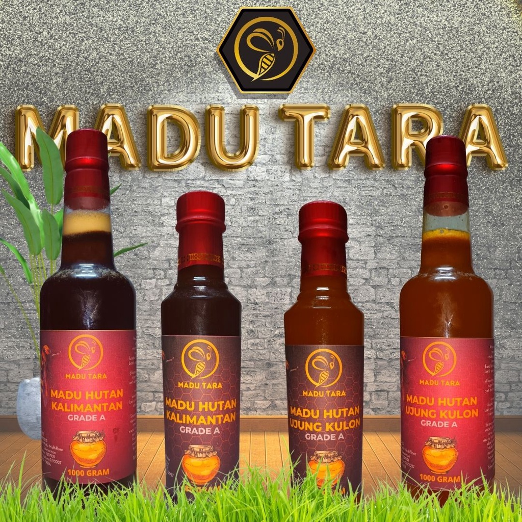 MADU HUTAN SUMBAWA MADU ASLI MADU MENTAH MURNI RAW HONEY MADU TARA