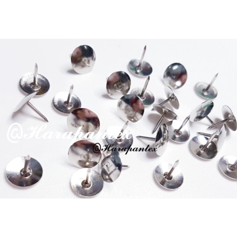 (Box) Paku Tindis/Paku Payung/Paku Pinus/Paku Mading