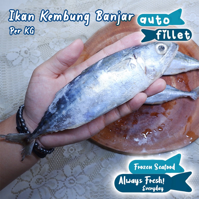 

IKAN KEMBUNG BANJAR FROZEN KUALITAS PREMIUM 1 KG GOSEND GRAB GOJEK ANTERAJA SAMEDAY