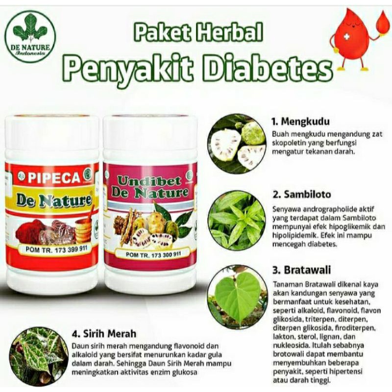 

[COD] Obat Penyakit Diabetes Millitus, Kencing Manis, Gula Darah Herbal