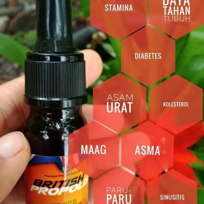 BRITISH PROPOLIS 100 % ORIGINAL | HERBAL DIABETES ASAM URAT | KOLESTEROL| Meningkatkan sistem imun