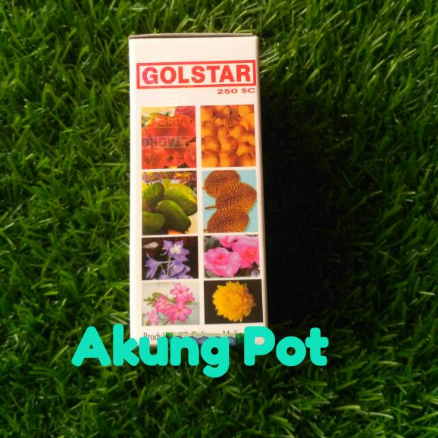Pupuk Mempercepat Pembungaan dan Pembuahan Goldstar 30 ml