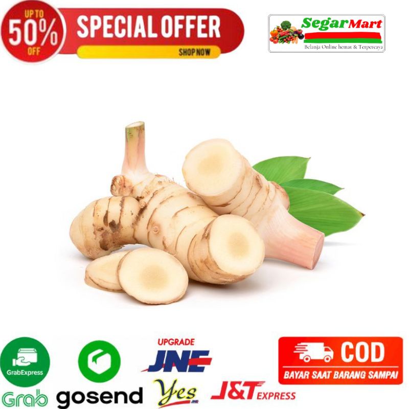 

Lengkuas/Laja Rempah Bumbu Masak Dapur segarmart bandung