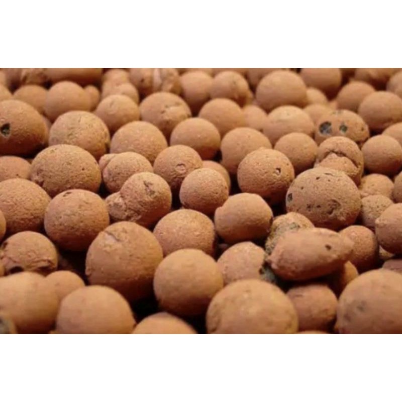 media tanam hidroton