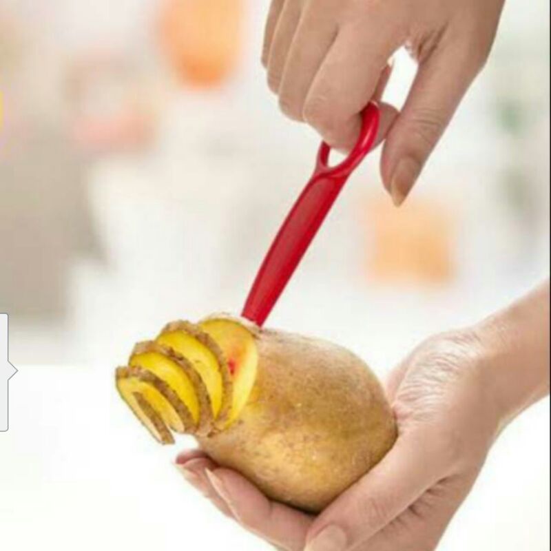 Veggie roll tupperware - pisau dekorator