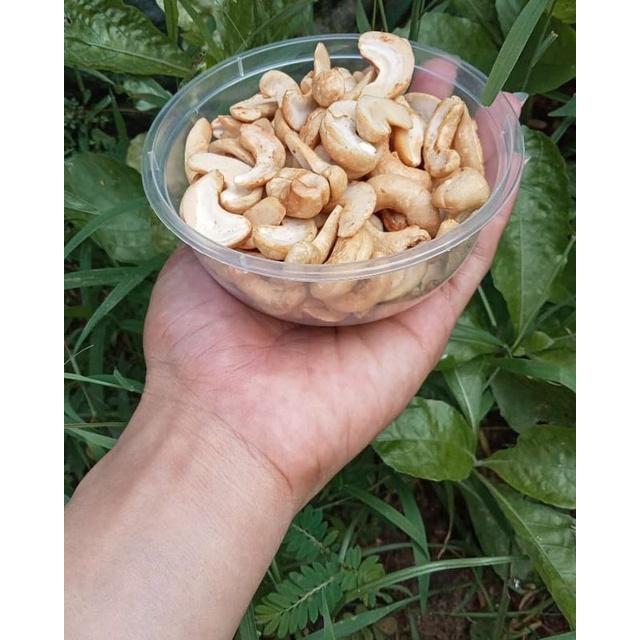 

KACANG METE MPO NUUR