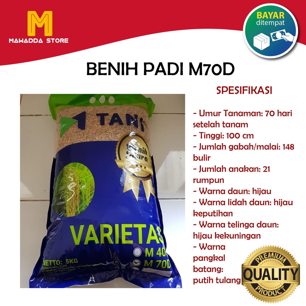 Benih Padi Unggul M70D