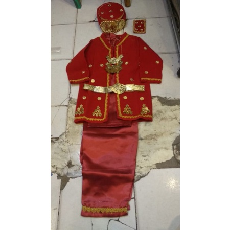 set baju sunat/pengantin anak laki TK/SD