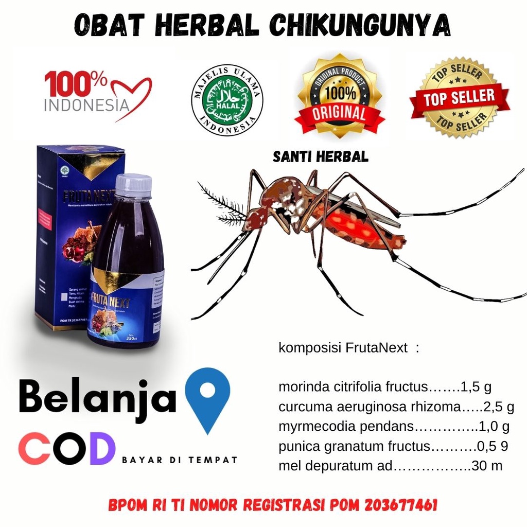 Mengobati Chikungunya Paling Cepat | Ciri2 Penyakit Chikungunya | FRUTA NEXT | FRUTANEXT
