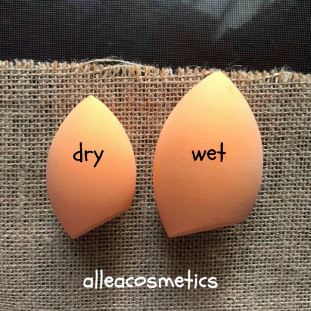 EGGY beauty sponge blender soft with case beauty blender mika