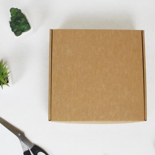 Kardus Packing Olshop Coklat Polos 21x21x5 cm Dus Packing Kecil Mini Murah Box Packaging Pizza Kado-1