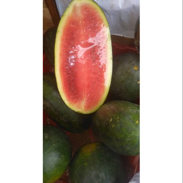 

Buah Semangka inul manis +-1,5kg