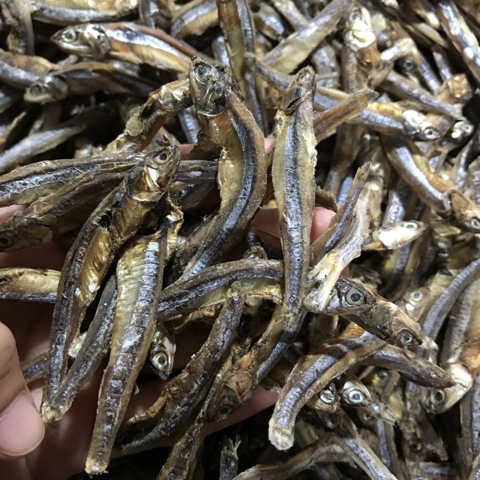 

Ikan Teri Sibolga Kualitas Premium 100 gr