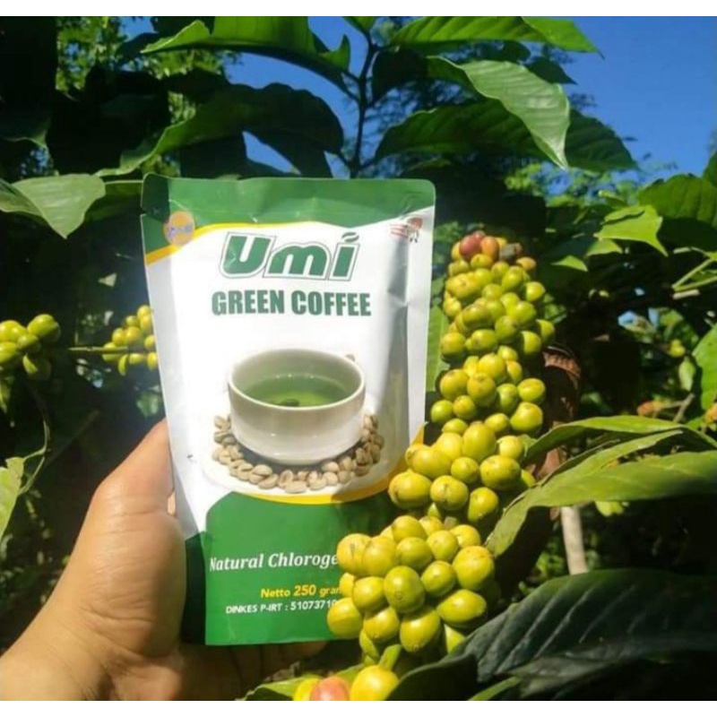 

UMI GREEN COFFEE 100 % ASLI MINUMAN HERBAL KOPI HIJAU MINUMAN UNTUK DIET