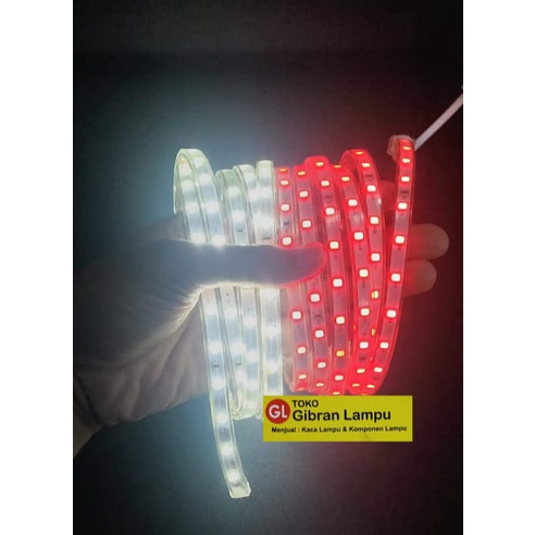 Lampu LED Strip Merah Putih - Lampu Hias Agustusan Tinggal Colok 220V