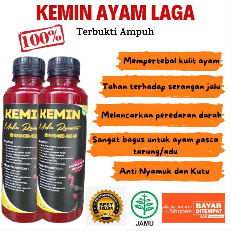 KEMIN AYAM LAGA | Menebalkan Kulit Memerahkan Ayam dan Tahan Pukul
