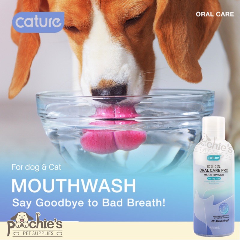 Is mouthwash bad for dogs