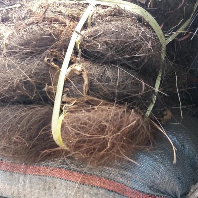 Tali Ijuk Halus//Ijuk Resapan