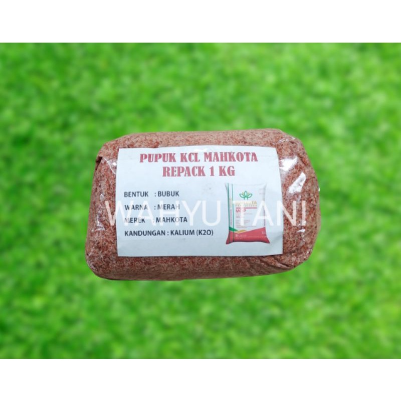 PUPUK KCL MAHKOTA ASLI ORIGIN CANADA FERTILIZER MOP REPACK 1KG