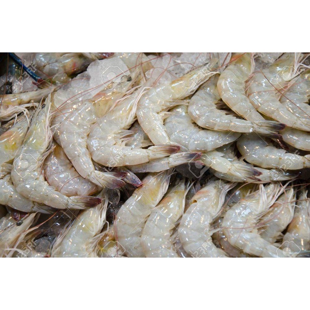 

Bandung - Udang Segar 250 g