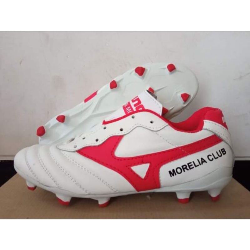 

Soker morella