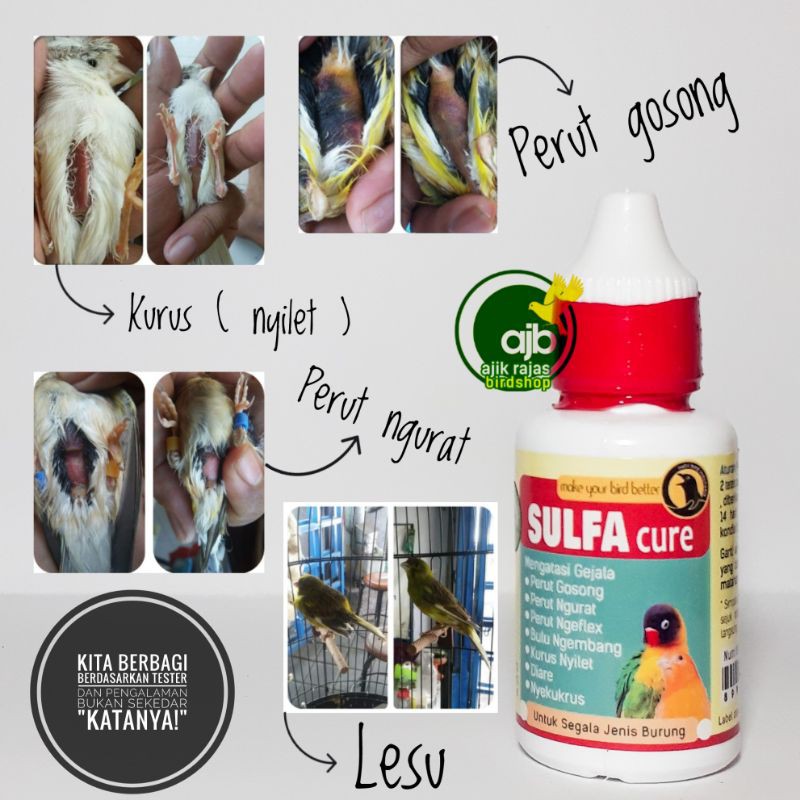 OBAT ANTI NYILET KURUS NGEMBUNG INFEKSI PENCERNAAN SULFACURE KENARI LOVEBIRD MURAI DLL AJIK RAJAS