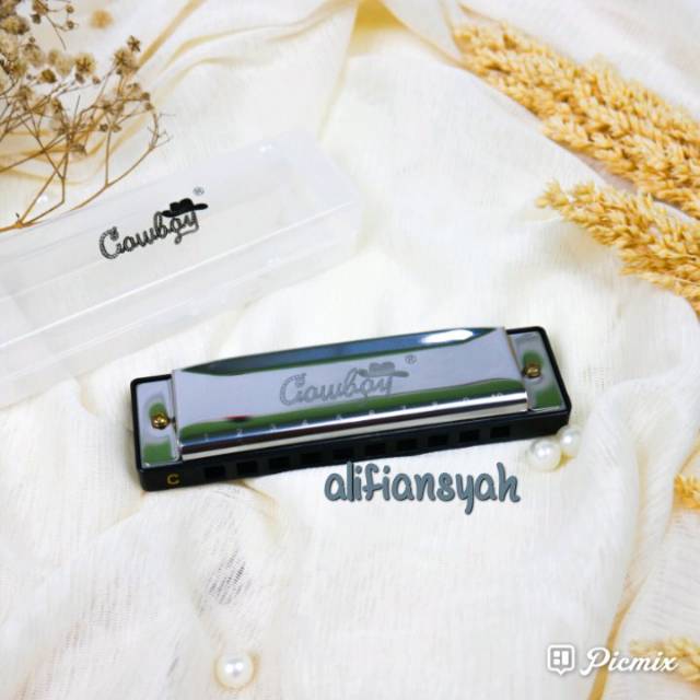 Harmonica 10 hole alat musik tiup harmonika merk cowboy
