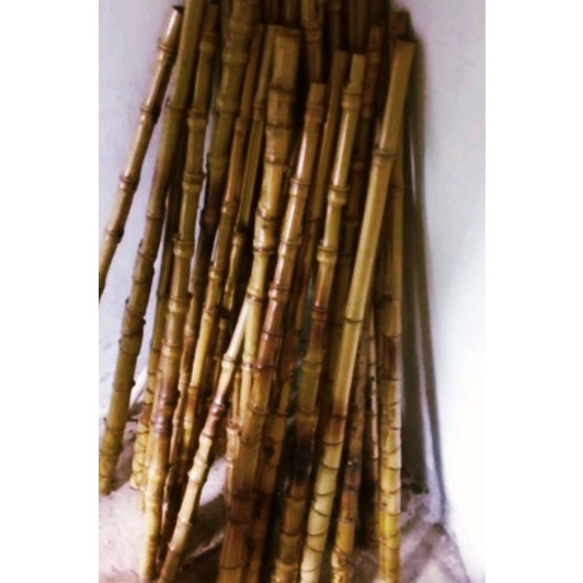 Bahan  gagang joran bambu cendani besar murah