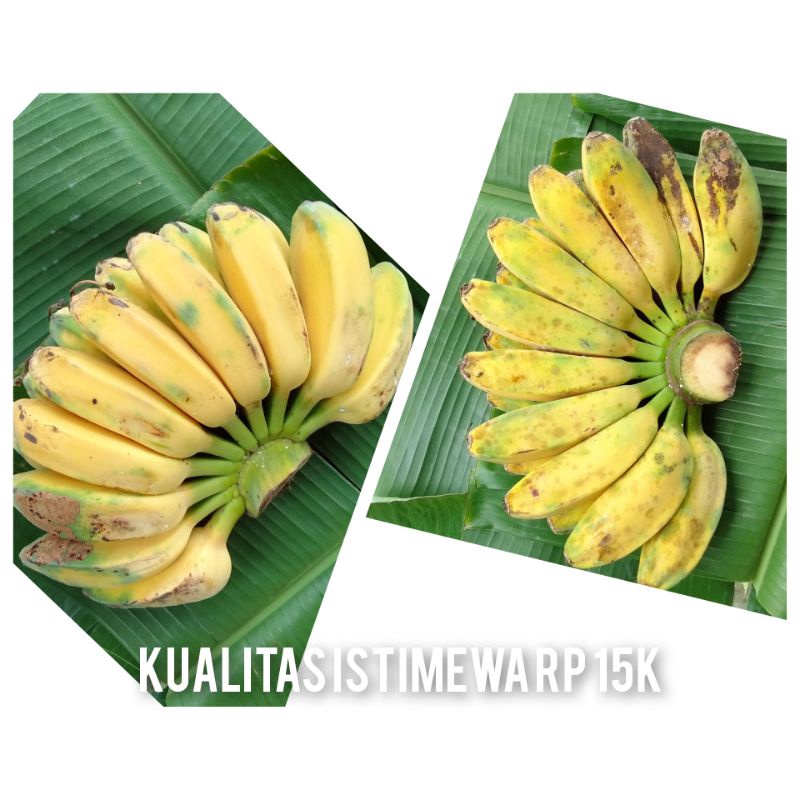 PISANG KEPOK KUNING 1 SISIR