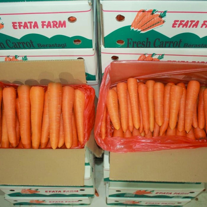 

Wortel Brastagi 500 gram Kualitas Import