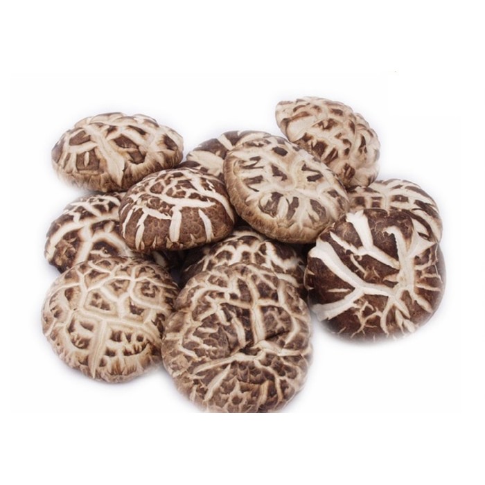 

Dijual Jamur Shitake Hioco Kering Besar Shiitake 50 Gr New