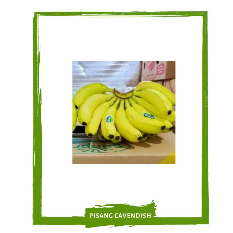 

Pisang Cavendish 1 Sisir / Buah Buahan Segar By Mallahrizwa